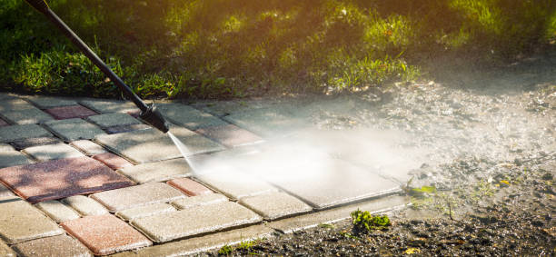 Best Spring Cleaning  in Galls, IN
