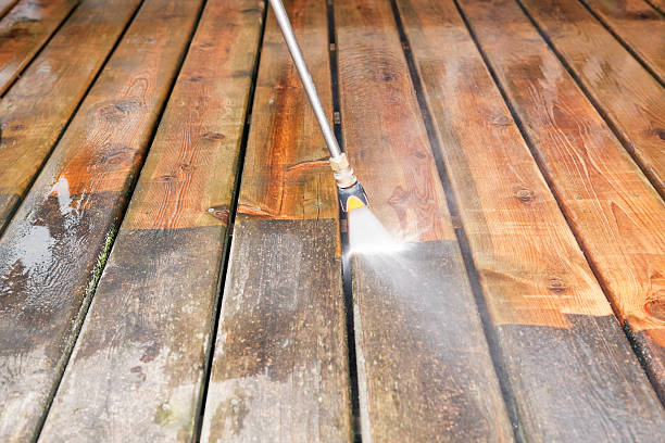 Best Solar Panel Cleaning  in Galls, IN